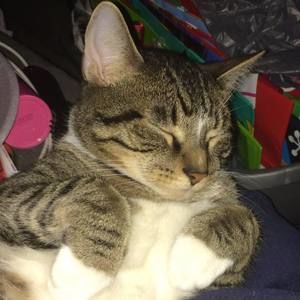 Meet your Posher, Amy